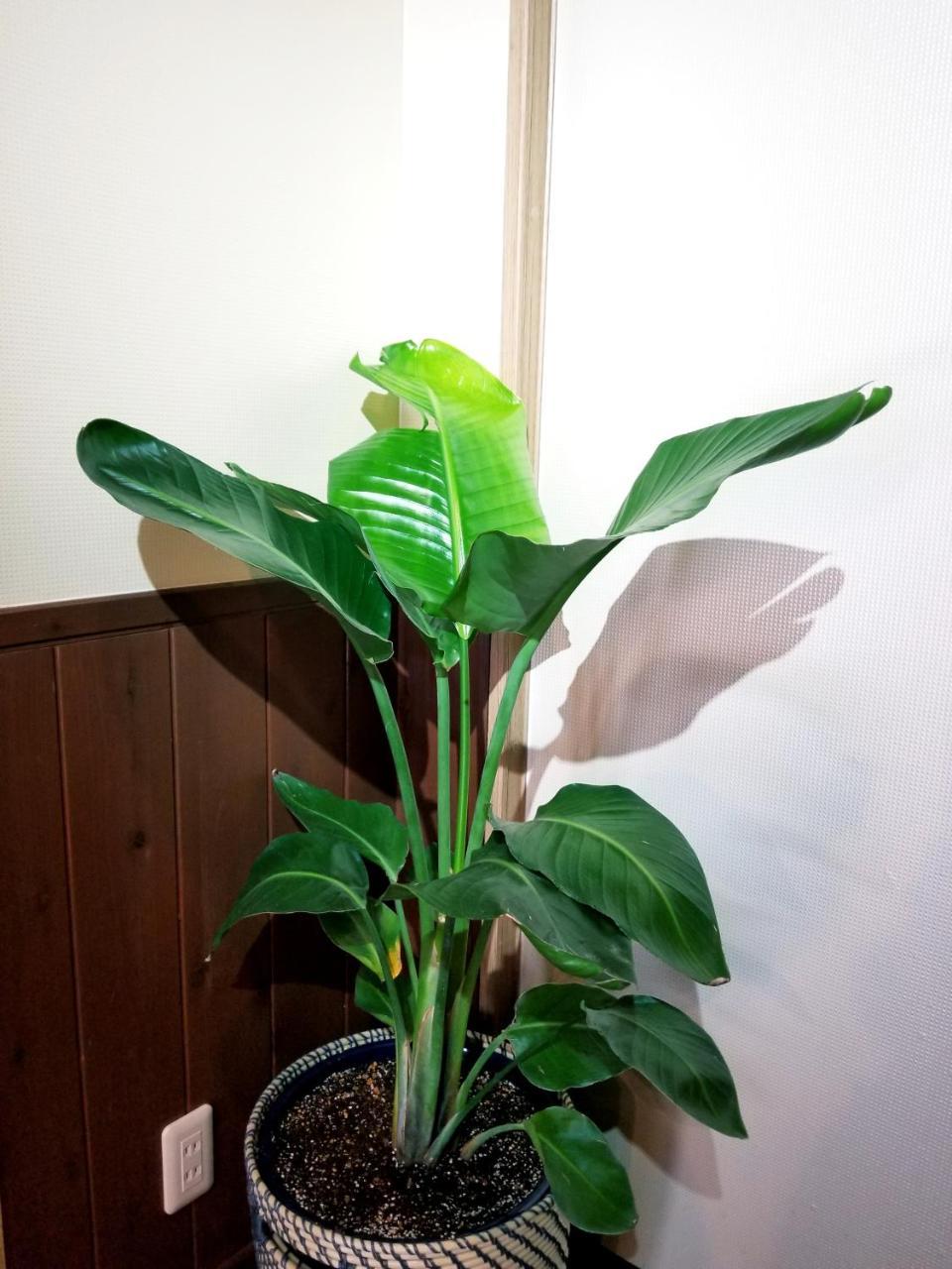 京都青年旅馆 外观 照片